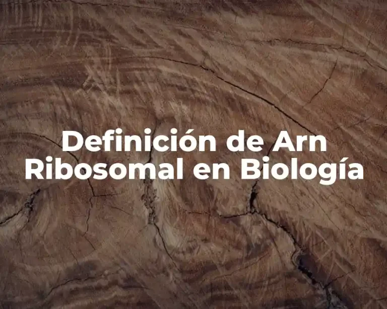Definición de Arn Ribosomal en Biología