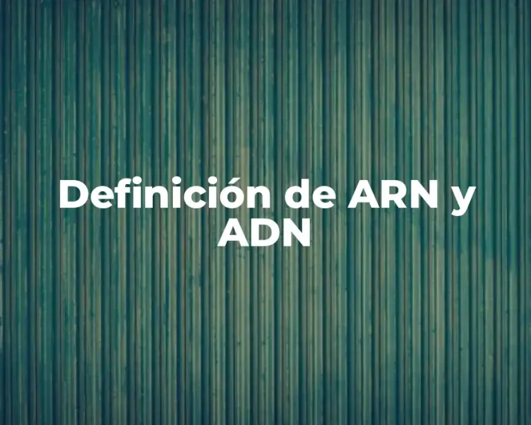 Definición de ARN y ADN