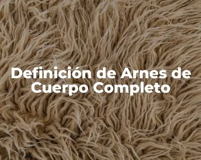 Definición de Arnes de Cuerpo Completo