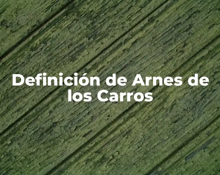 Definición de Arnes de los Carros