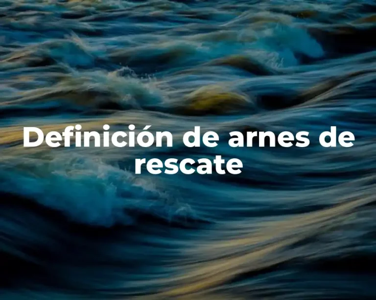 Definición de arnes de rescate