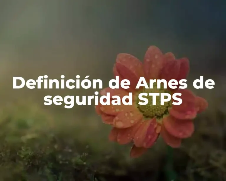 Definición de Arnes de seguridad STPS
