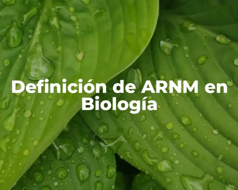 Definición de ARNM en Biología
