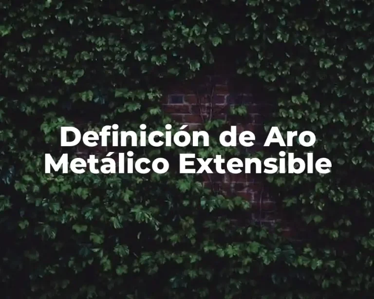 Definición de Aro Metálico Extensible