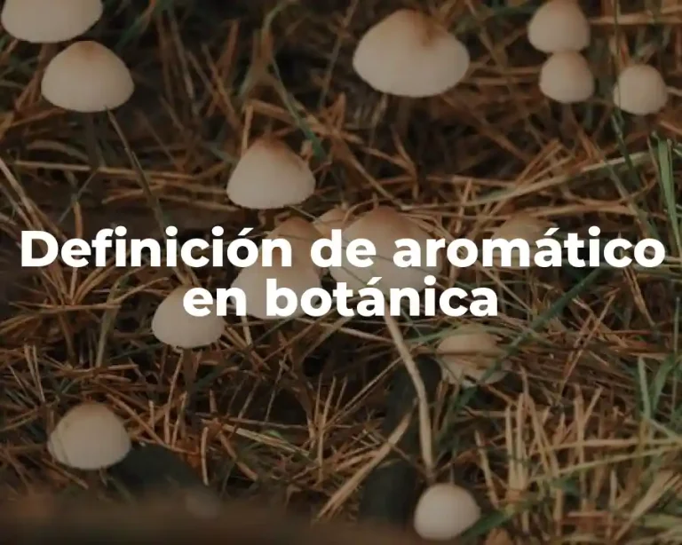 Definición de aromático en botánica