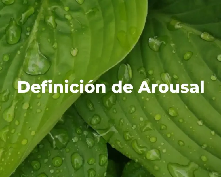 Definición de Arousal