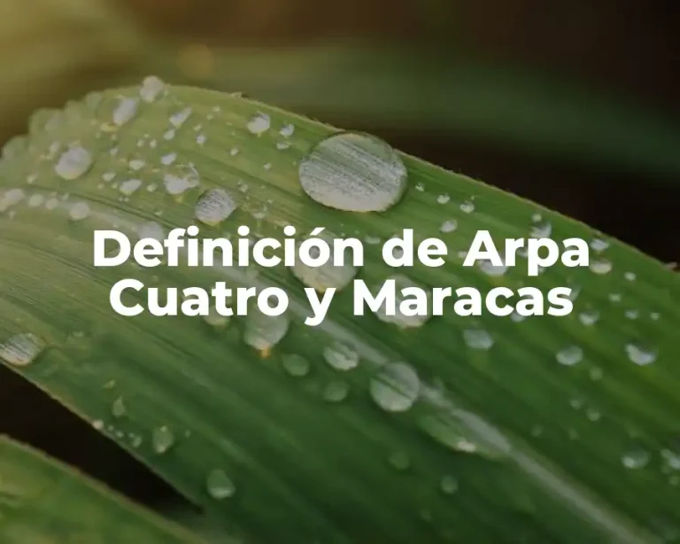 Definición de Arpa Cuatro y Maracas