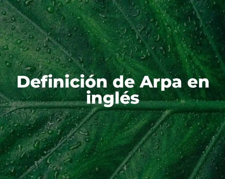 Definición de Arpa en inglés