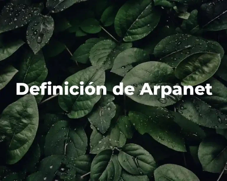 Definición de Arpanet