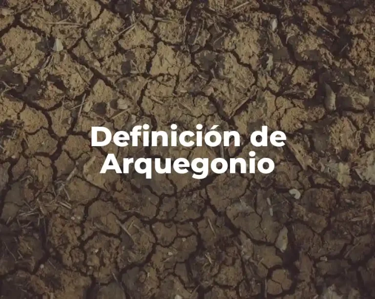 Definición de Arquegonio