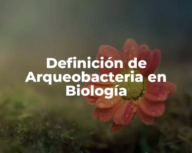 Definición de Arqueobacteria en Biología