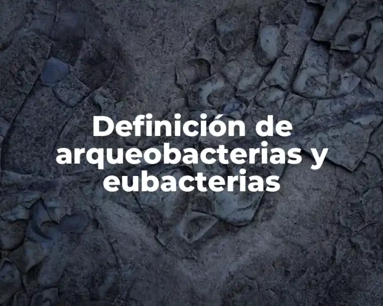 Definición de arqueobacterias y eubacterias
