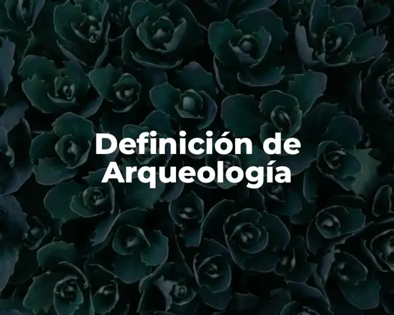 Definición de Arqueología