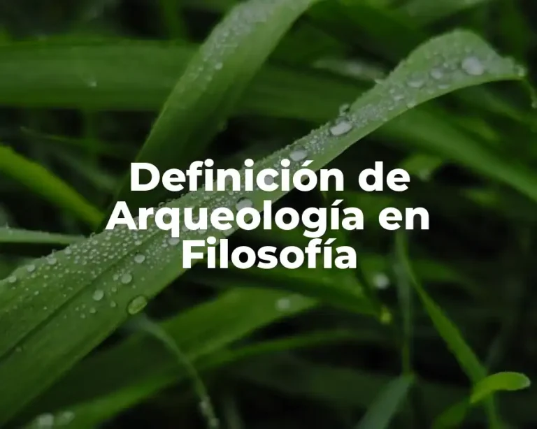 Definición de Arqueología en Filosofía