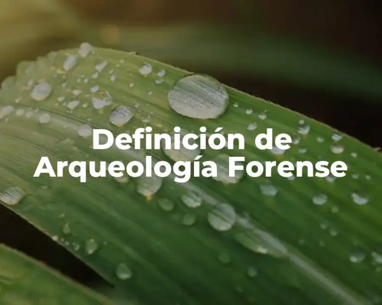 Definición de Arqueología Forense