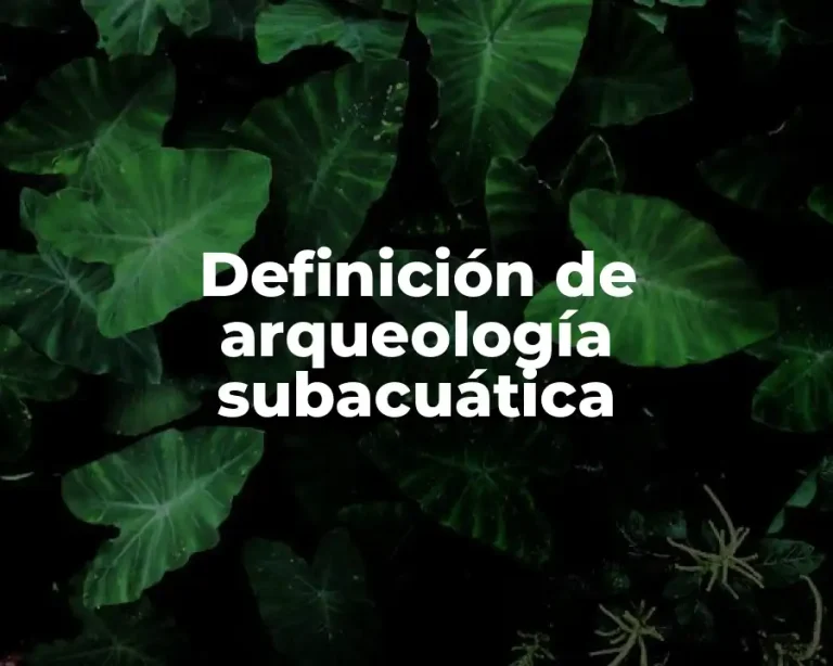Definición de arqueología subacuática