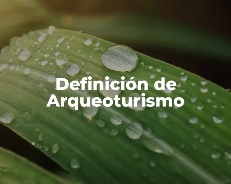 Definición de Arqueoturismo