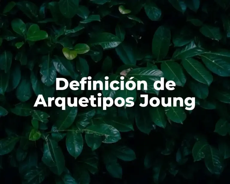 Definición de Arquetipos Joung