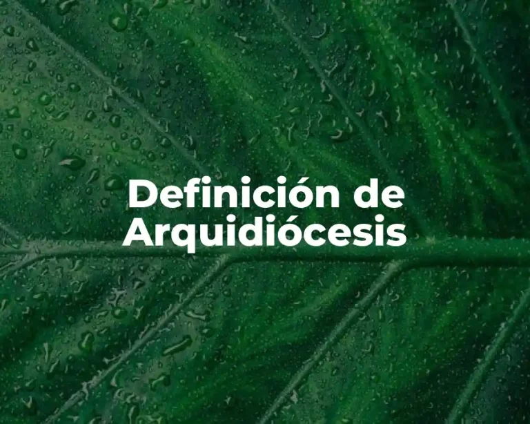 Definición de Arquidiócesis