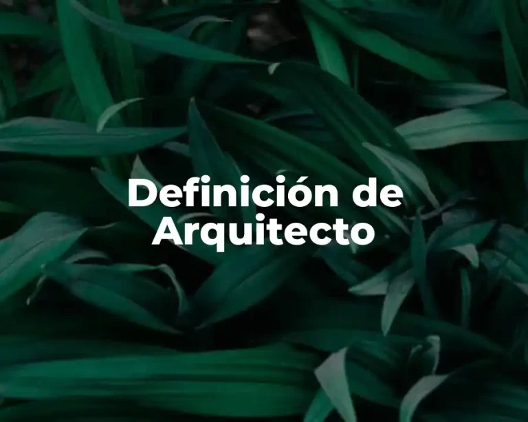 Definición de Arquitecto