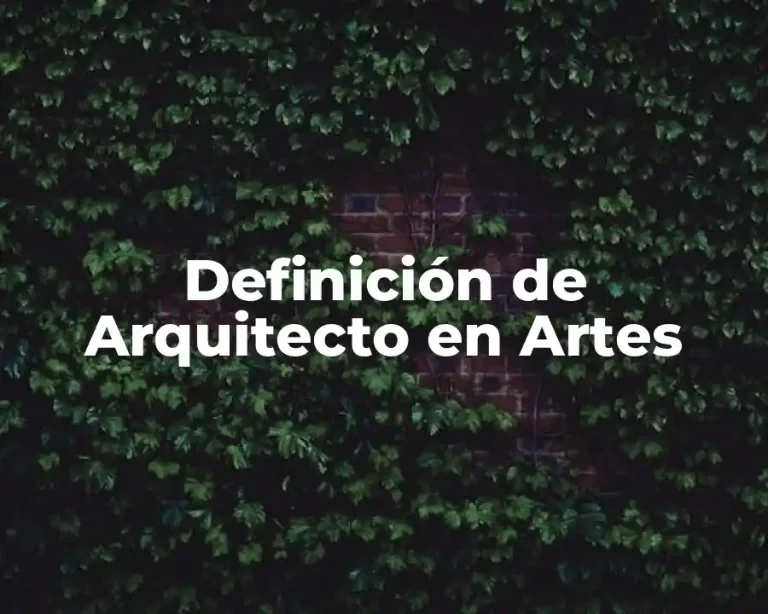 Definición de Arquitecto en Artes