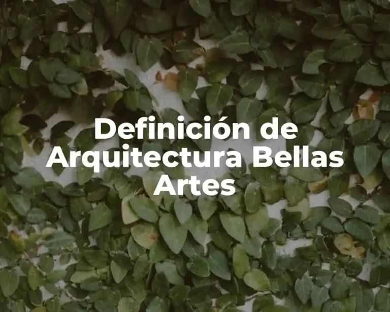 Definición de Arquitectura Bellas Artes