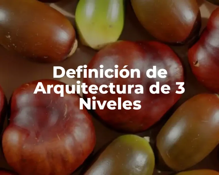 Definición de Arquitectura de 3 Niveles