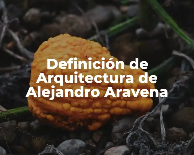 Definición de Arquitectura de Alejandro Aravena