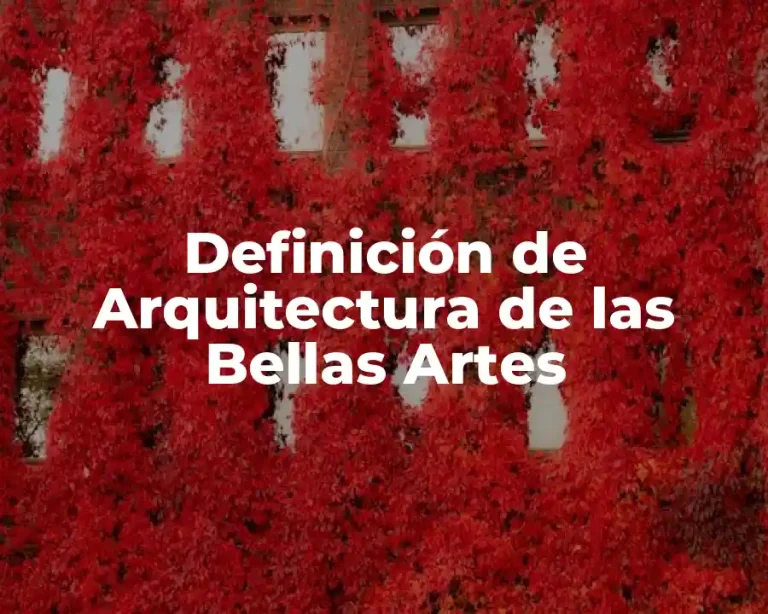 Definición de Arquitectura de las Bellas Artes