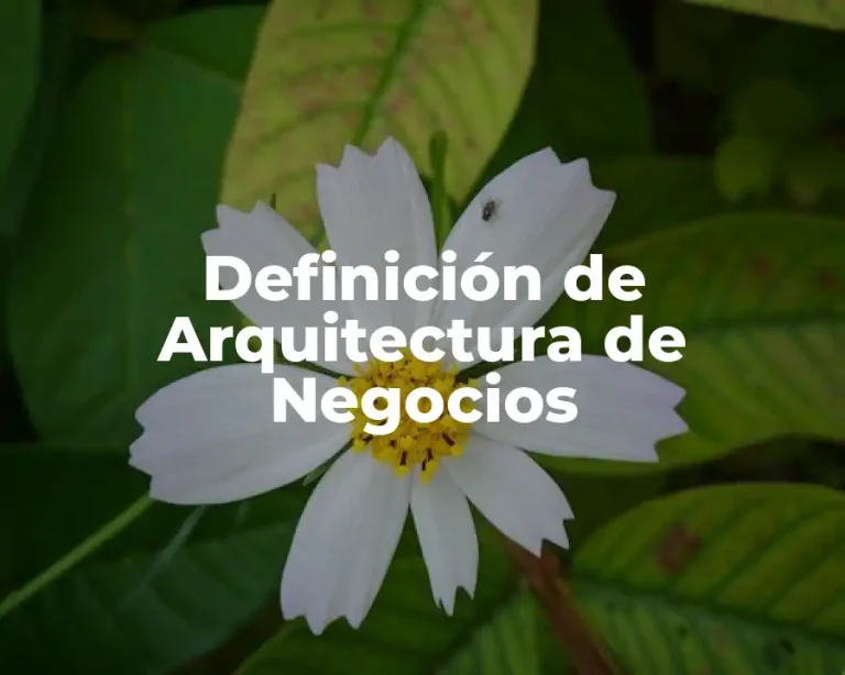 Definición de Arquitectura de Negocios
