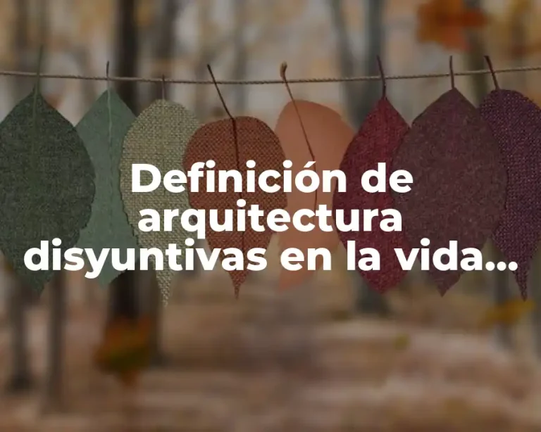 Definición de arquitectura disyuntivas en la vida diaria