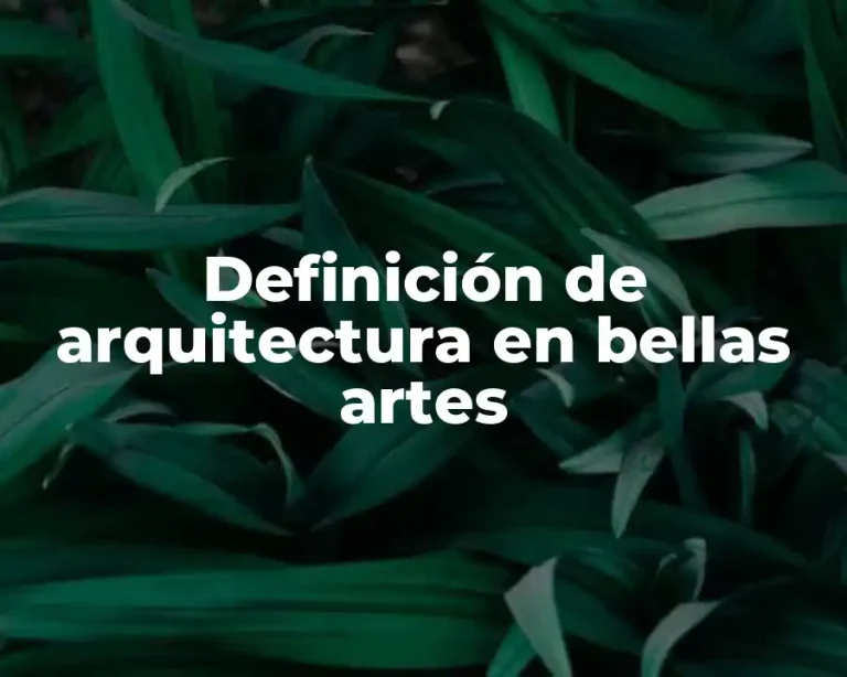 Definición de arquitectura en bellas artes