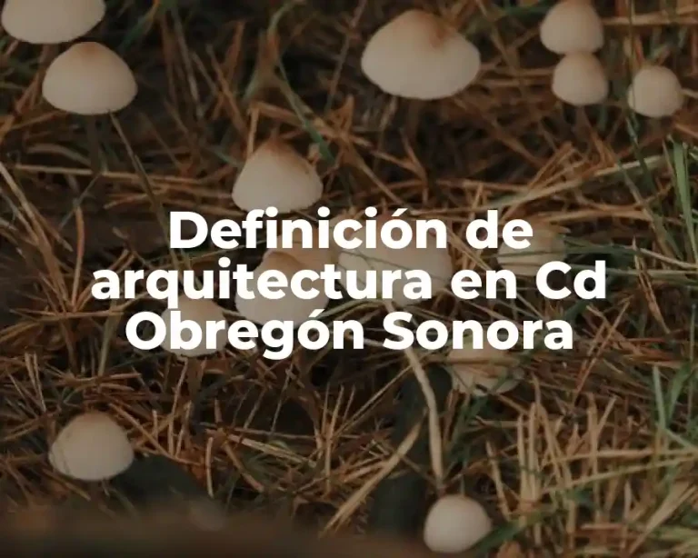 Definición de arquitectura en Cd Obregón Sonora