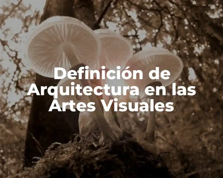Definición de Arquitectura en las Artes Visuales