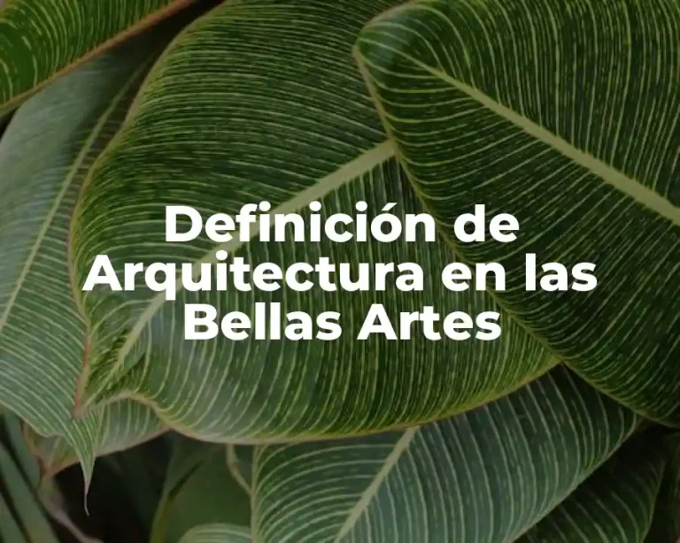 Definición de Arquitectura en las Bellas Artes