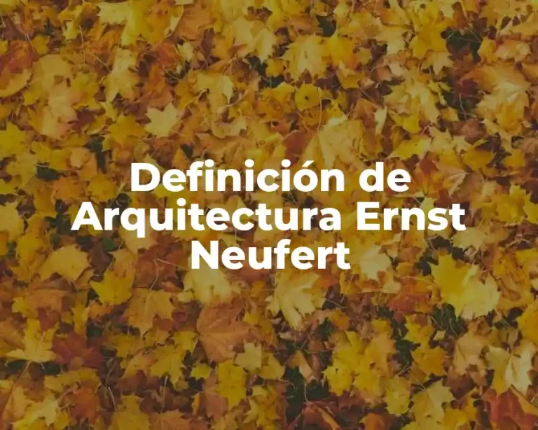 Definición de Arquitectura Ernst Neufert