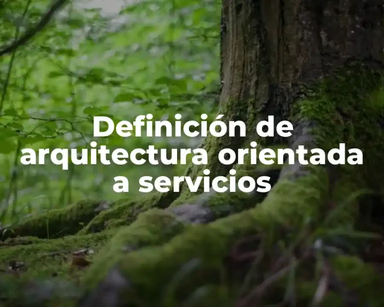 Definición de arquitectura orientada a servicios