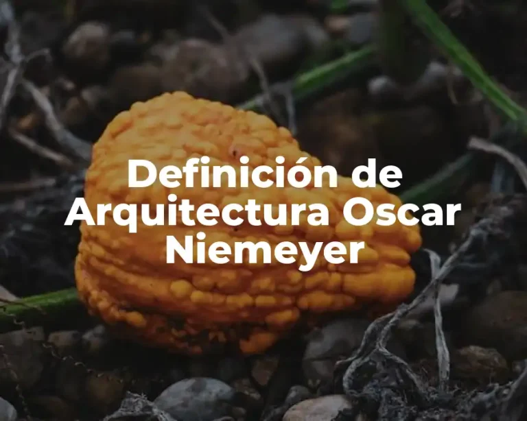 Definición de Arquitectura Oscar Niemeyer