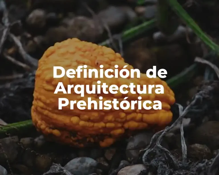 Definición de Arquitectura Prehistórica