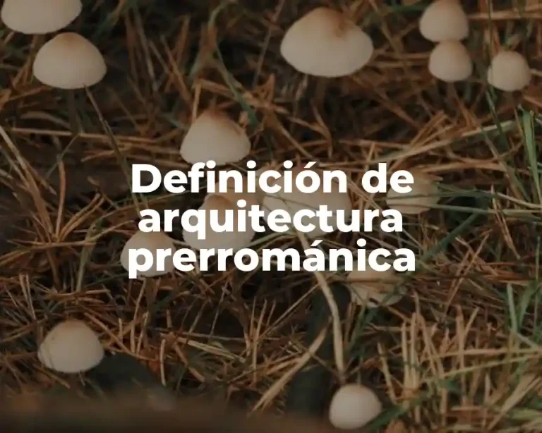 Definición de arquitectura prerrománica