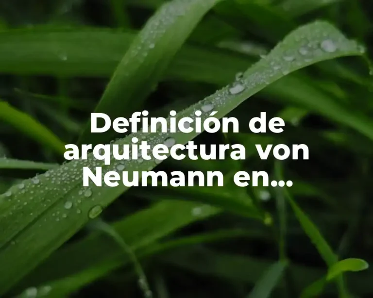 Definición de arquitectura von Neumann en programación