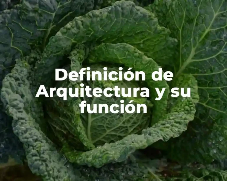Definición de Arquitectura y su función