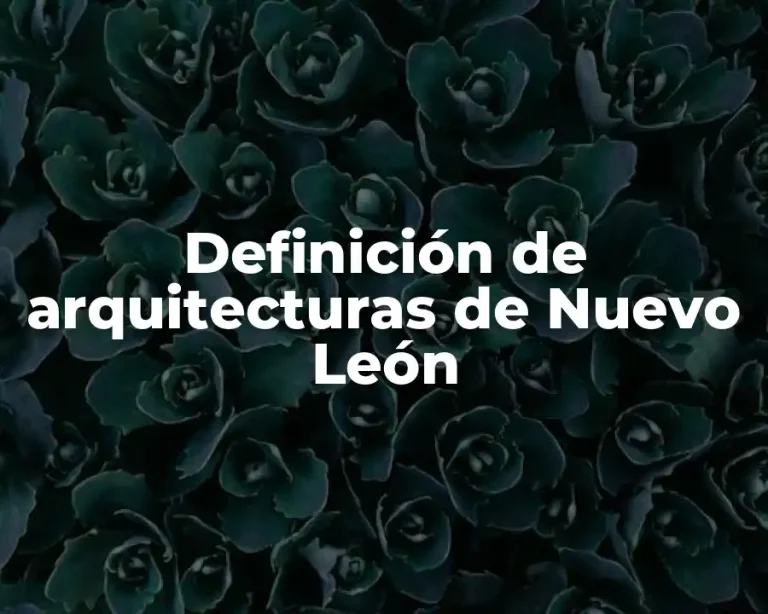 Definición de arquitecturas de Nuevo León