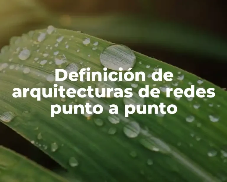 Definición de arquitecturas de redes punto a punto