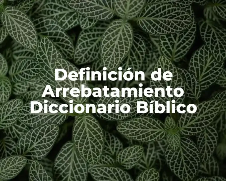 Definición de Arrebatamiento Diccionario Bíblico