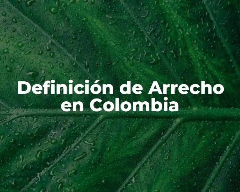 Definición de Arrecho en Colombia