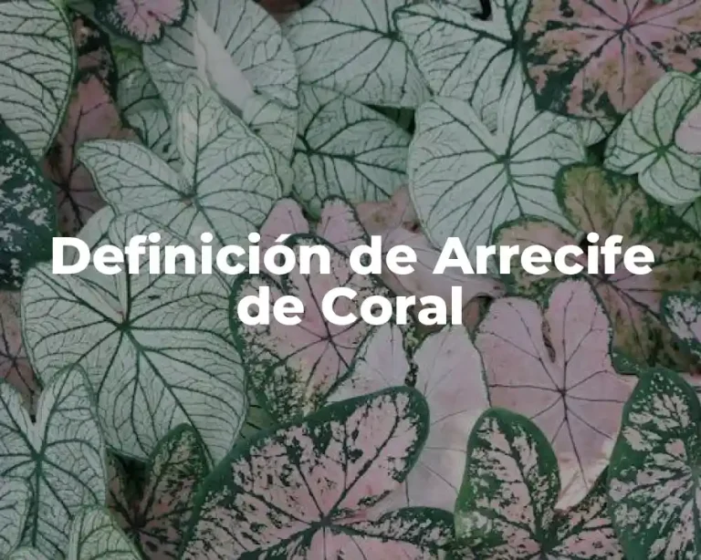 Definición de Arrecife de Coral