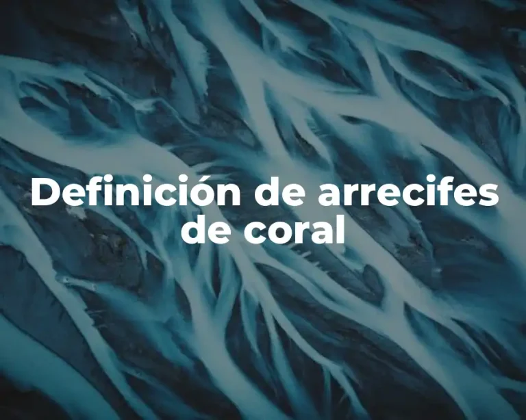 Definición de arrecifes de coral