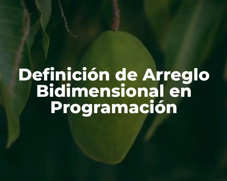 Definición de Arreglo Bidimensional en Programación