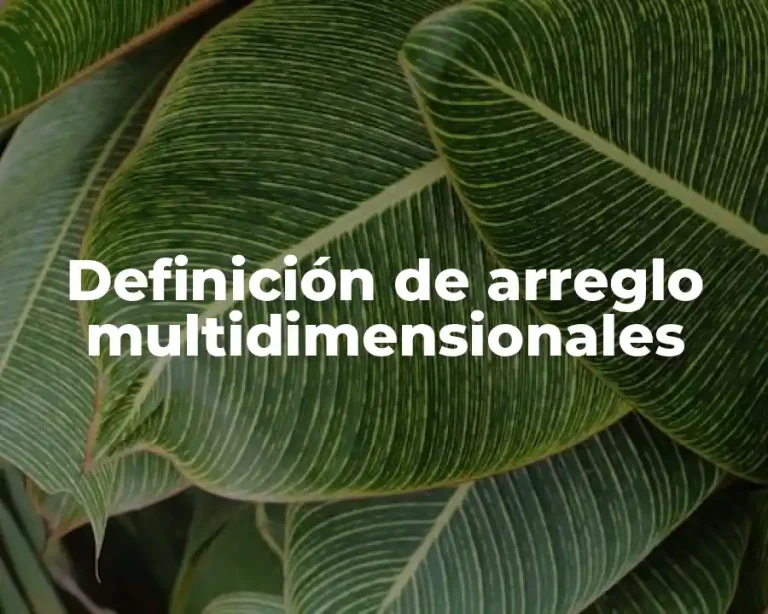Definición de arreglo multidimensionales